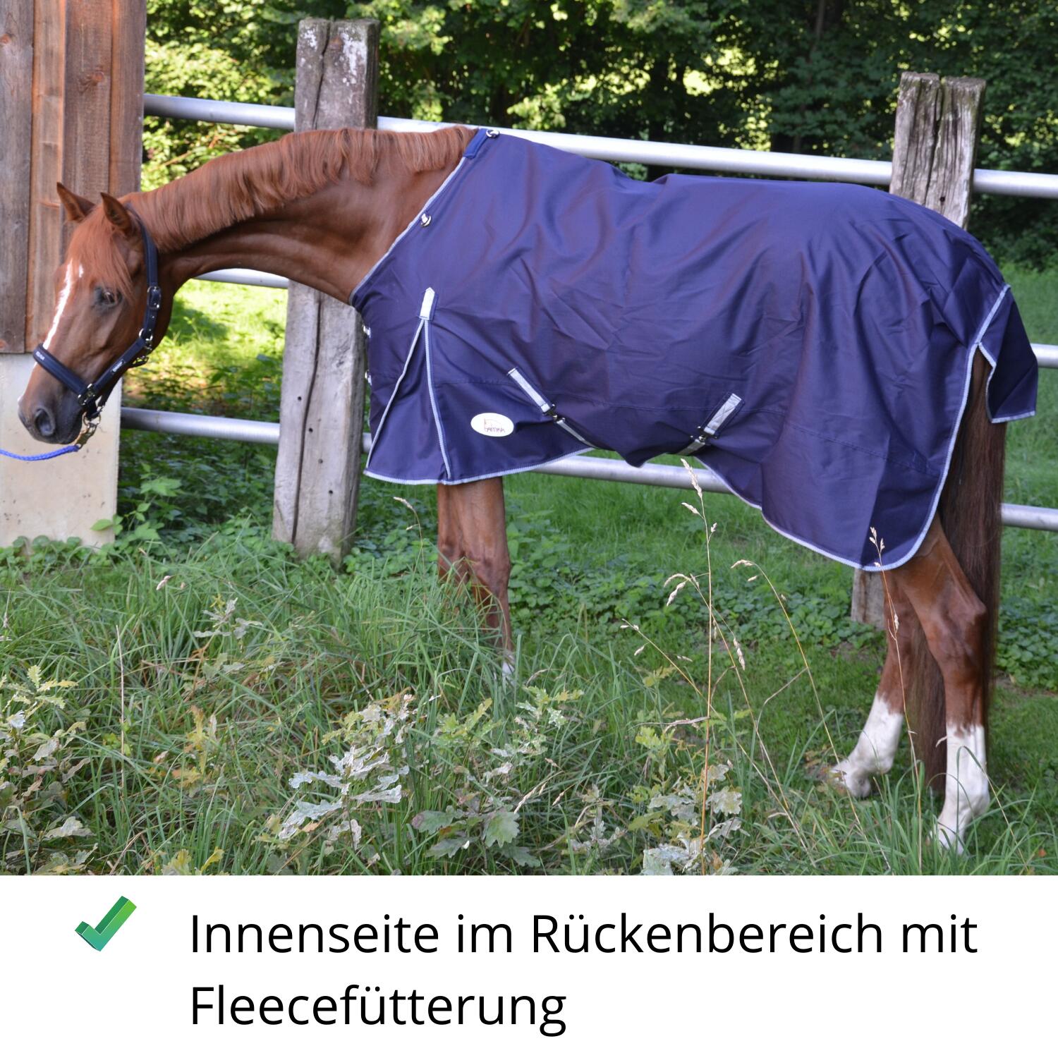 AMKA Outdoordecke Weidedecke BORAS 600D wasserdicht atmungsaktiv mit Kreuzgurte 3/4