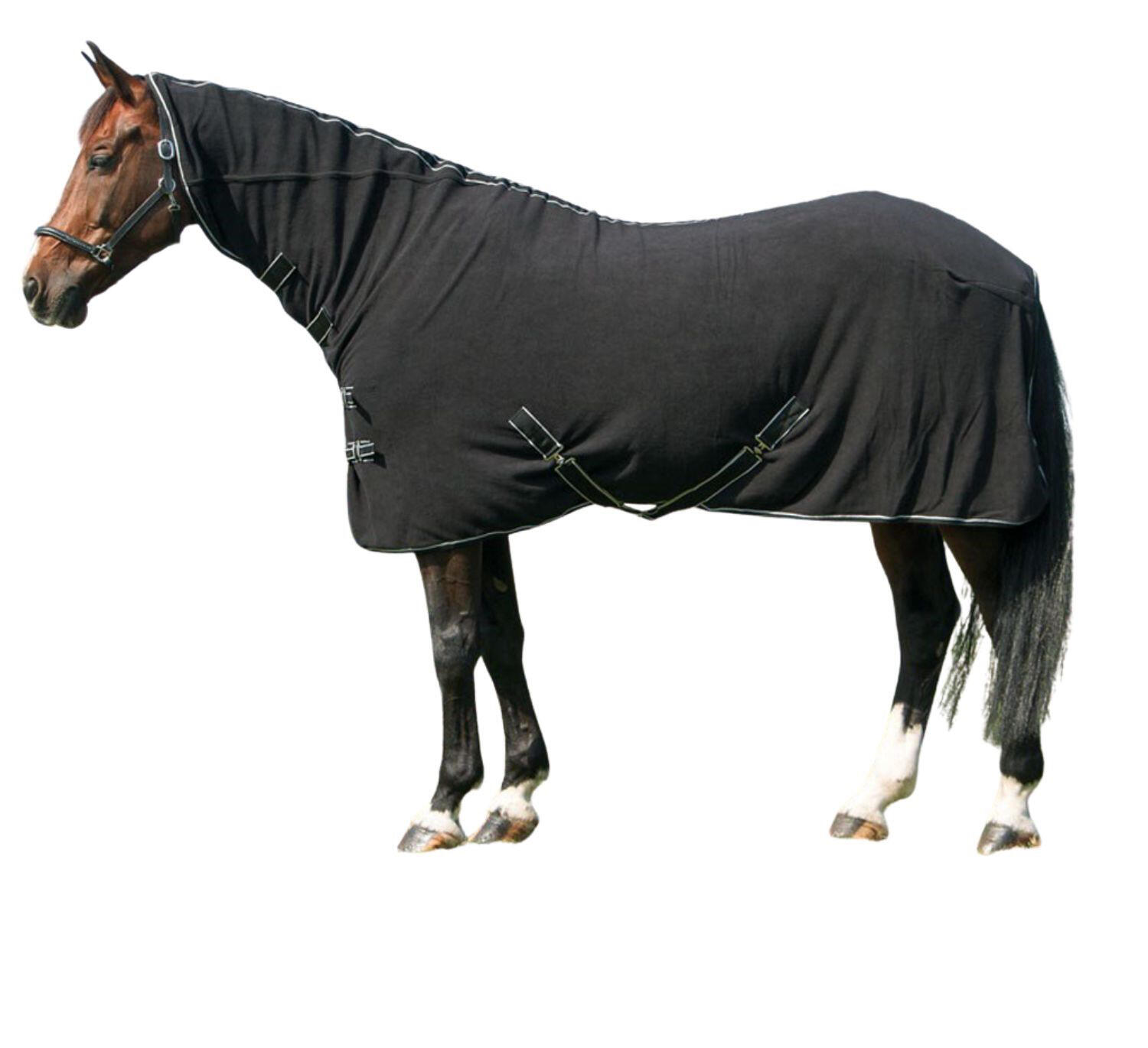 HARRYS HORSE picture