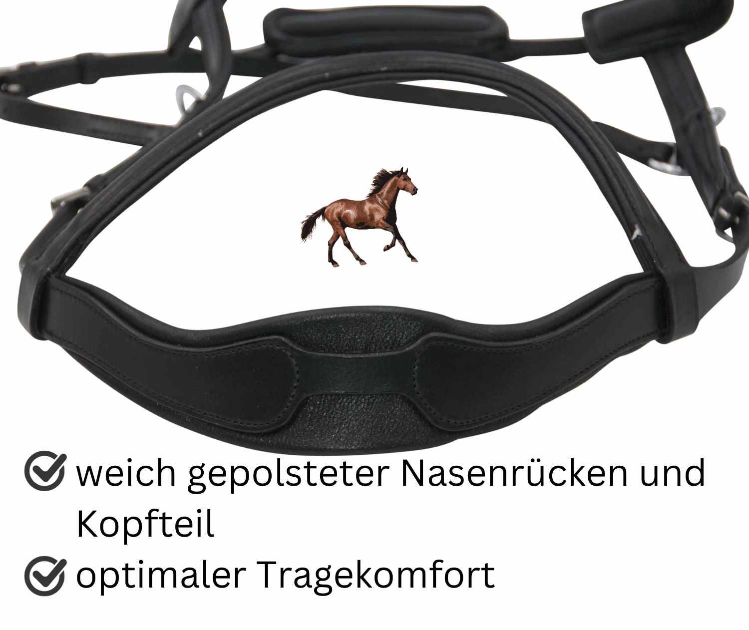 AMKA Reitkappzaum 3/4