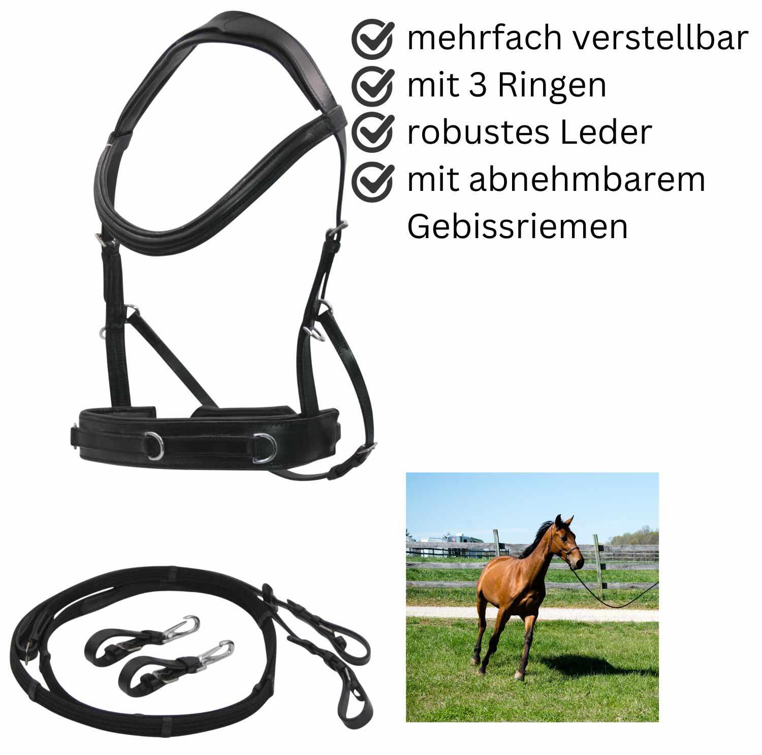 AMKA Reitkappzaum 2/4
