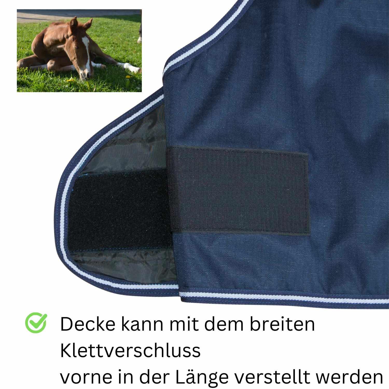AMKA Fohlendecke 2/4