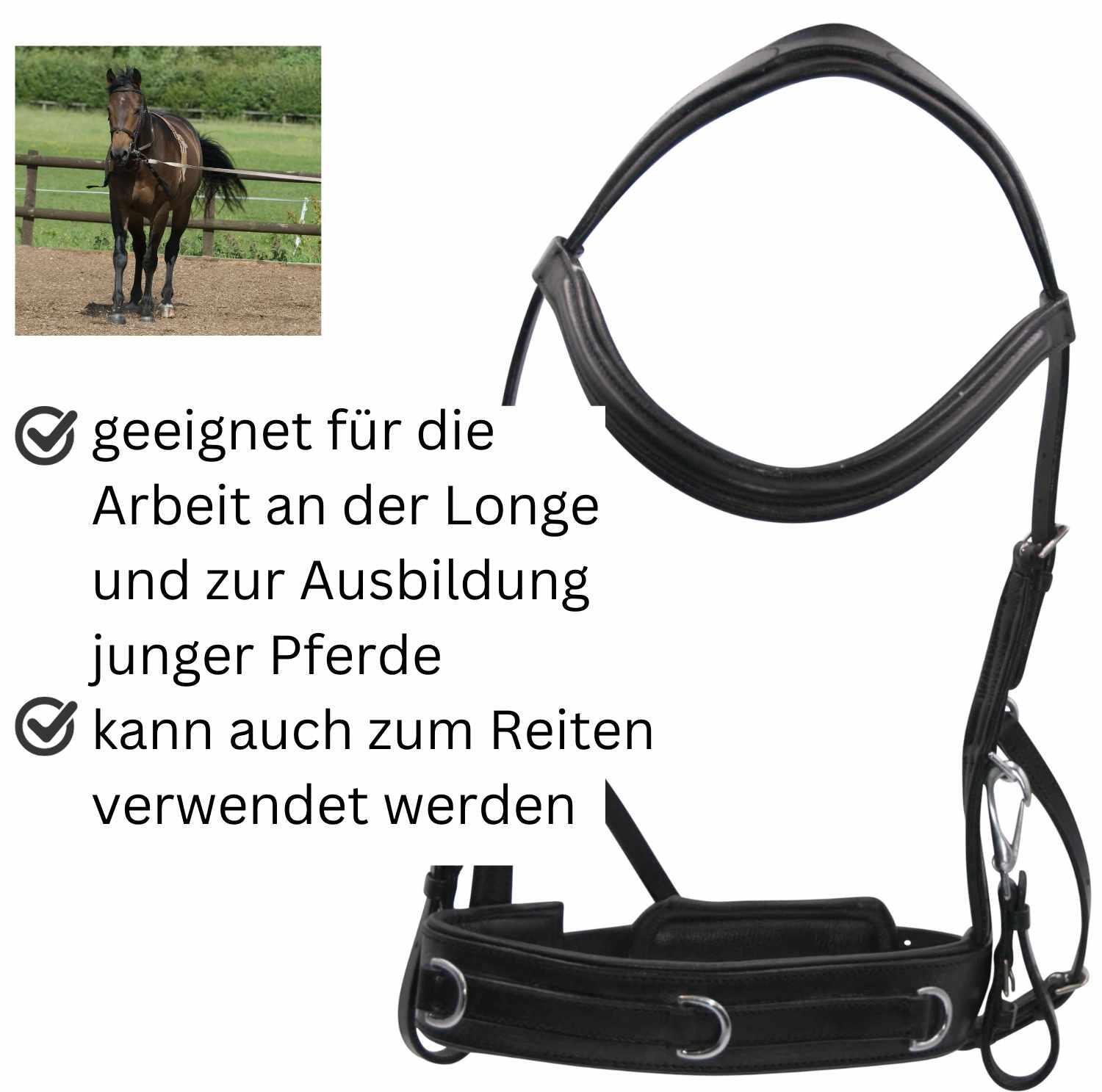 AMKA Reitkappzaum 4/4