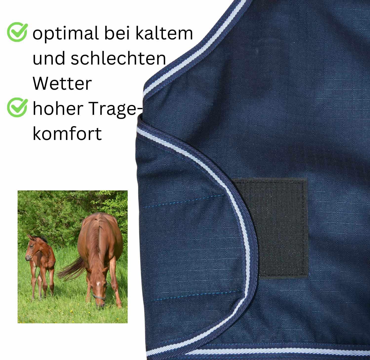 AMKA Fohlendecke 3/4
