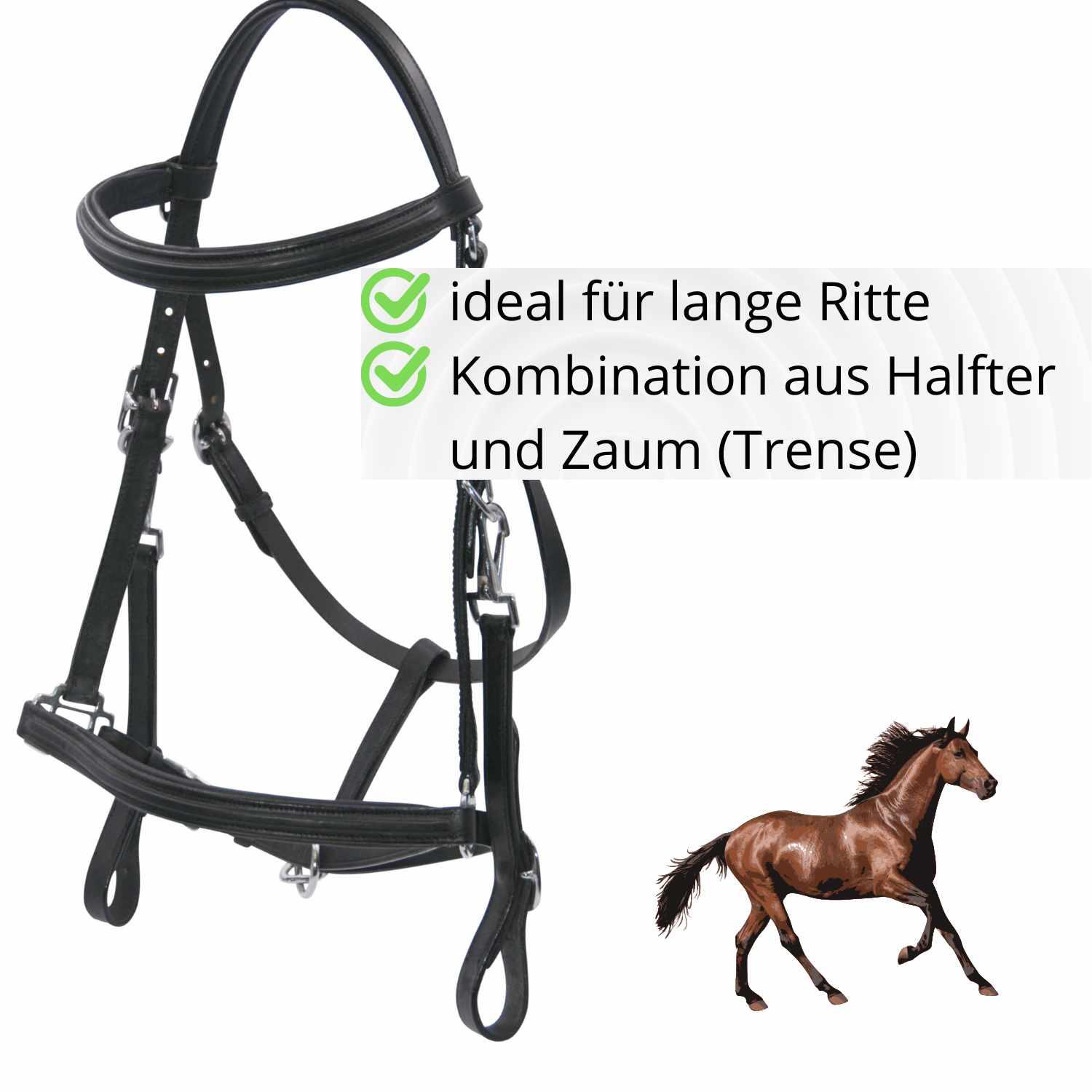 AMKA Zaum-Halfter Kombination 2/4