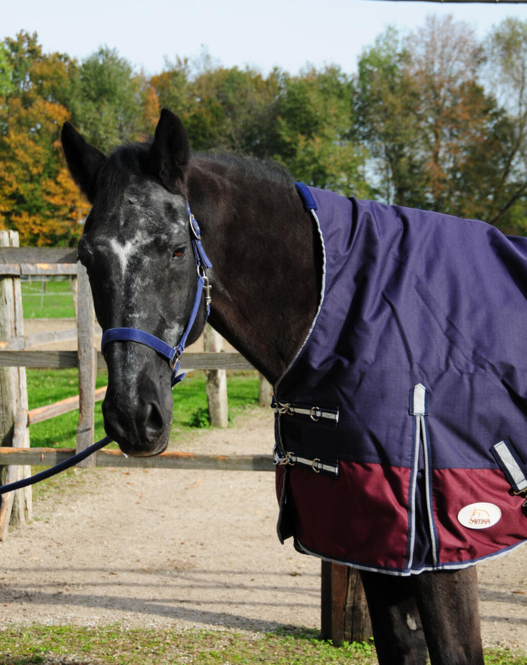 AMKA Pferde Weide Outdoordecke 2/4