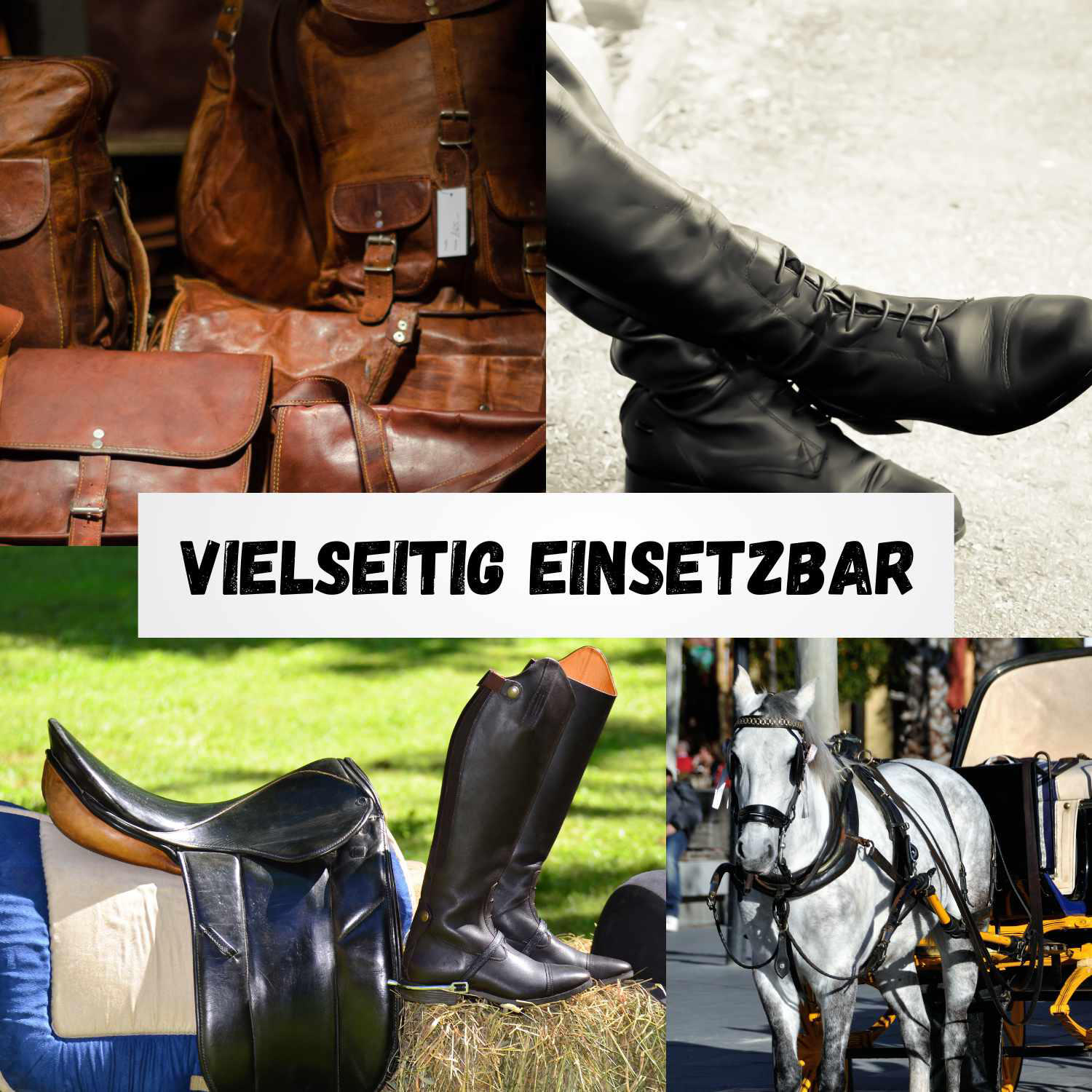 B + E Lederfett 3/3