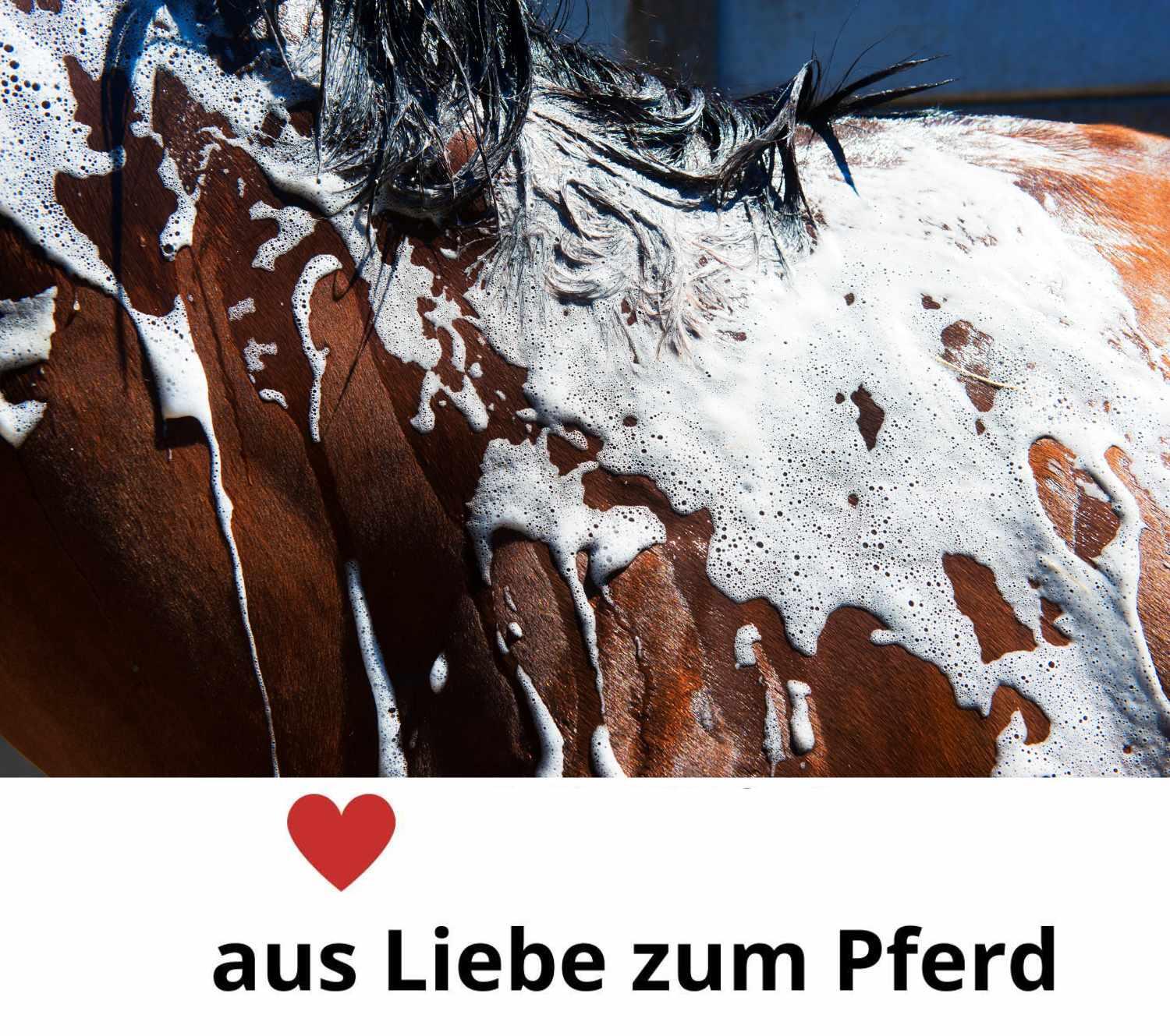 Stassek Equistar antiklit & glansspray 3/4