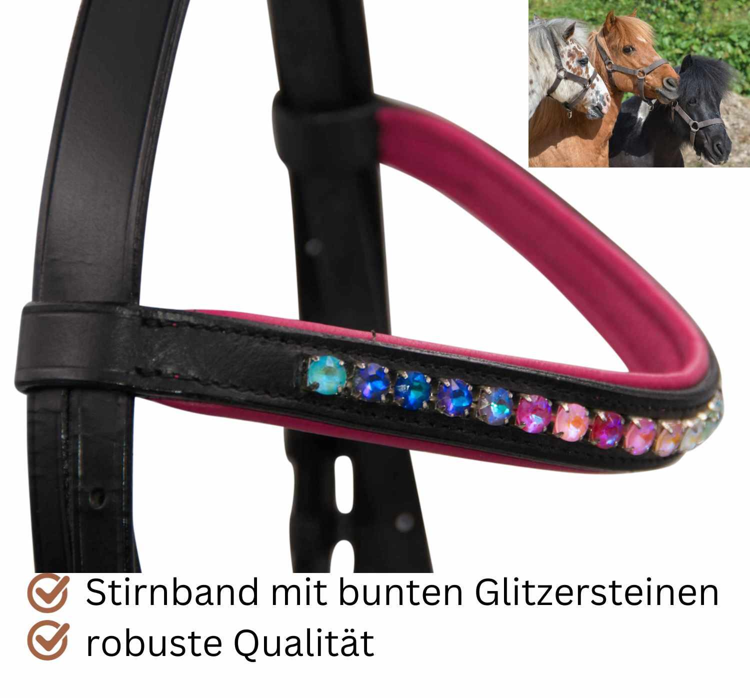 AMKA Trensenzaum Shiny dekoratives Stirnband Glitzersteine engl. komb. 4/4