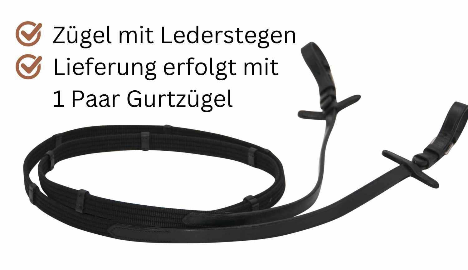 AMKA Trensenzaum Shiny dekoratives Stirnband Glitzersteine engl. komb. 3/4
