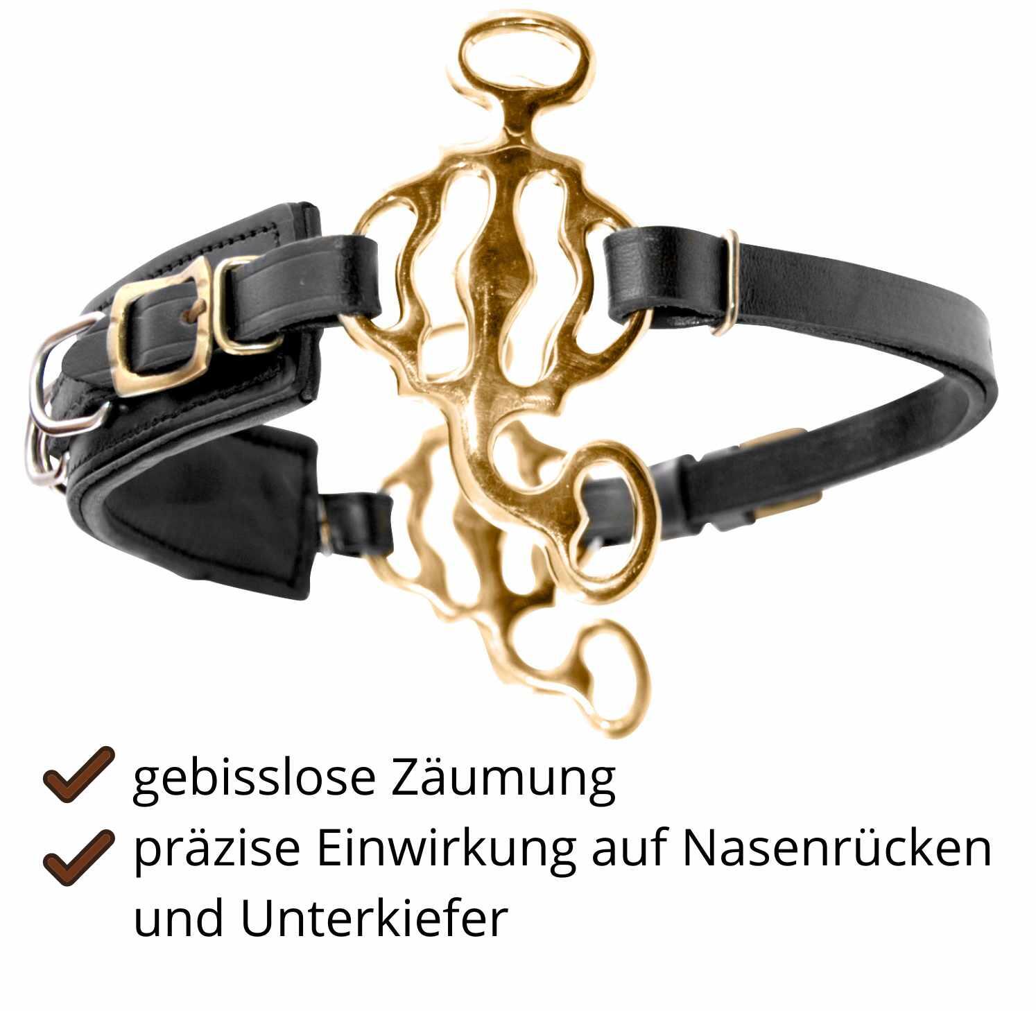 AMKA Hackamore Barock 2/4