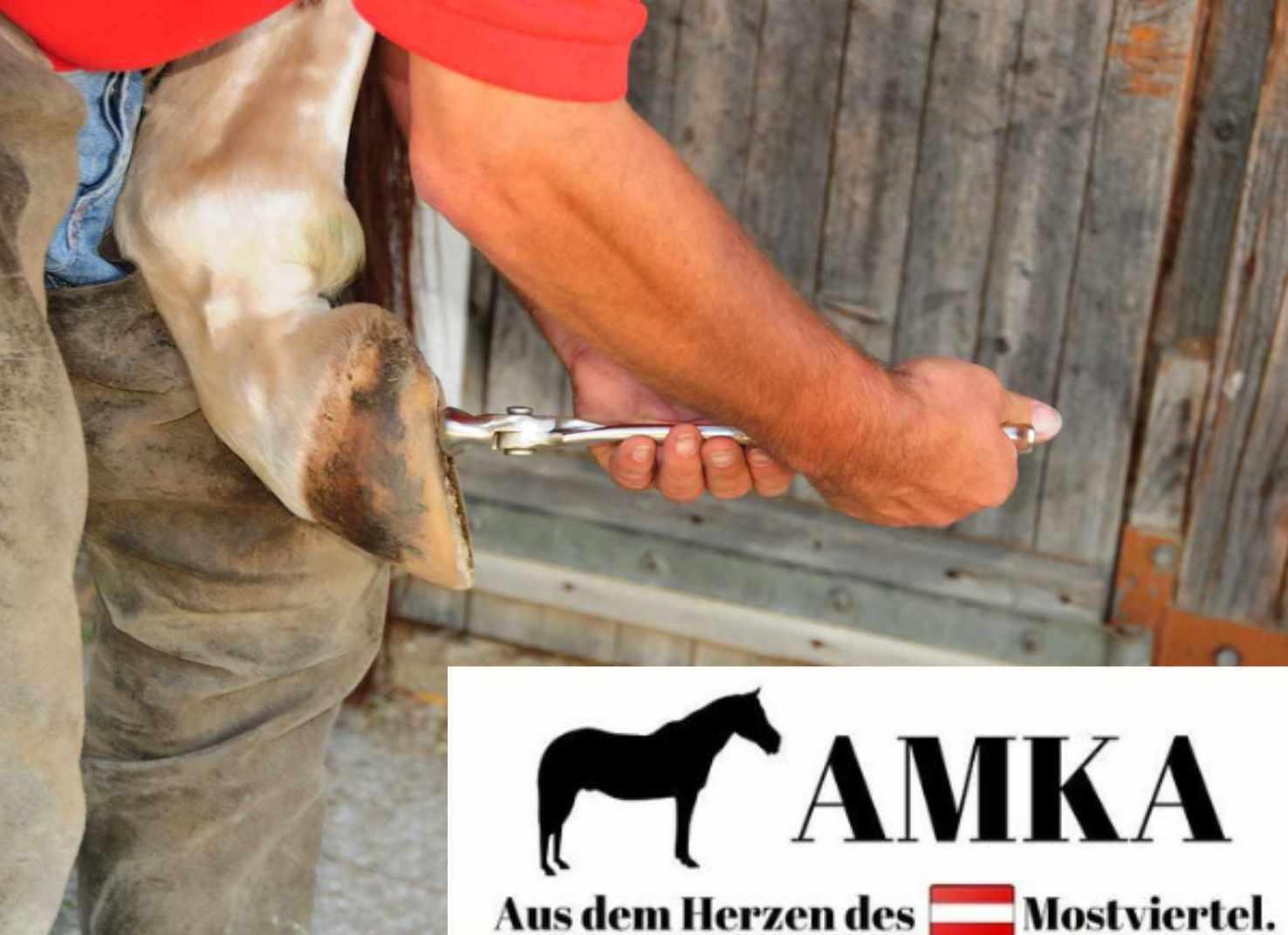 AMKA Gewindeschneider 2/4