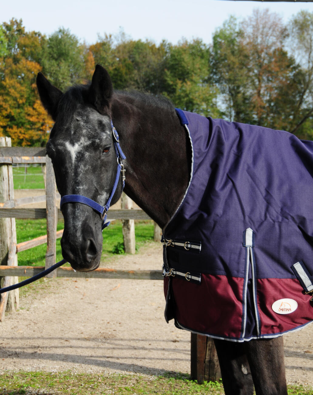 AMKA Pferde Weide Outdoordecke 2/4