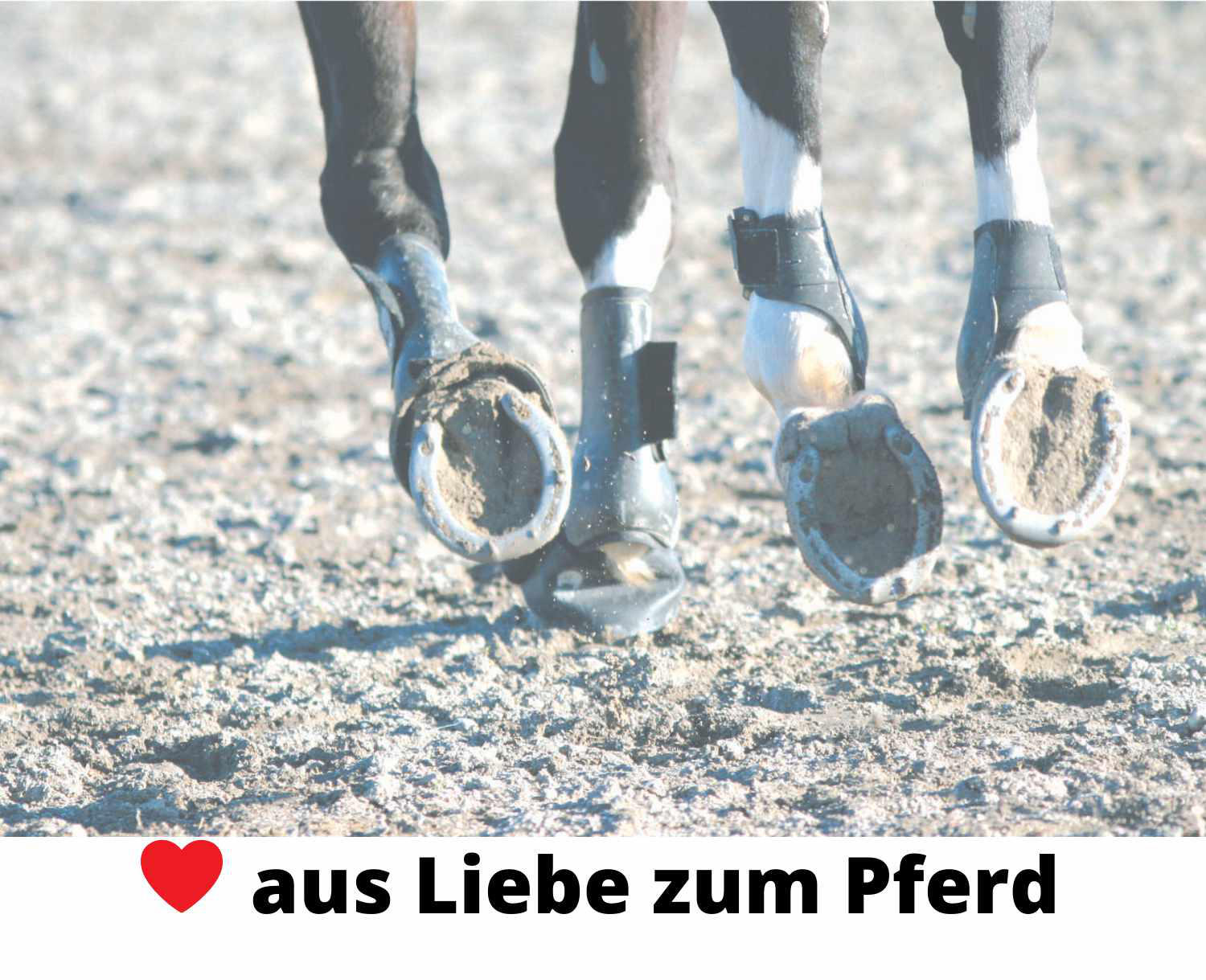 Harry`s Horse Gamaschen Percy Air 3/4