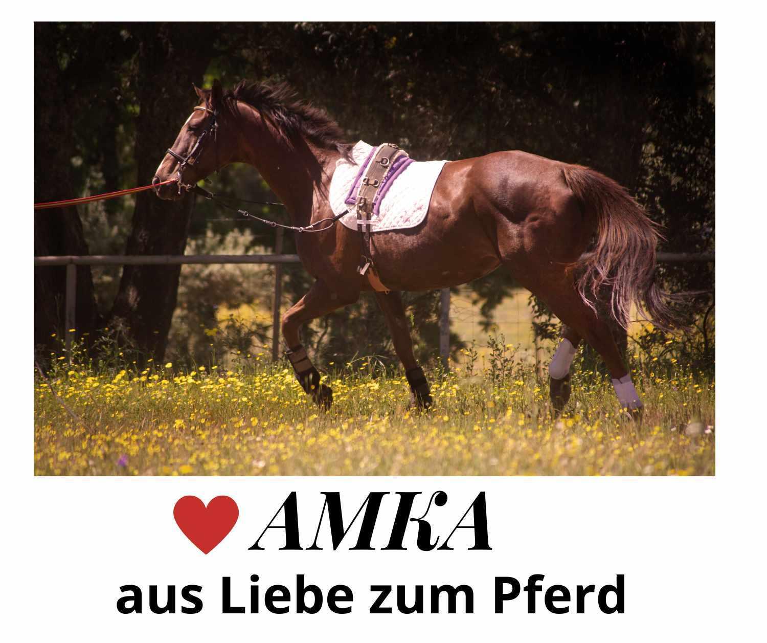 AMKA Kappzaum 3/4