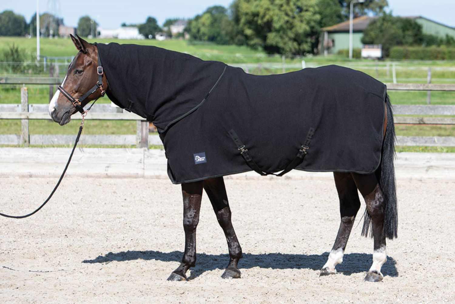 Harry`s Horse Fleecedecke 2/4