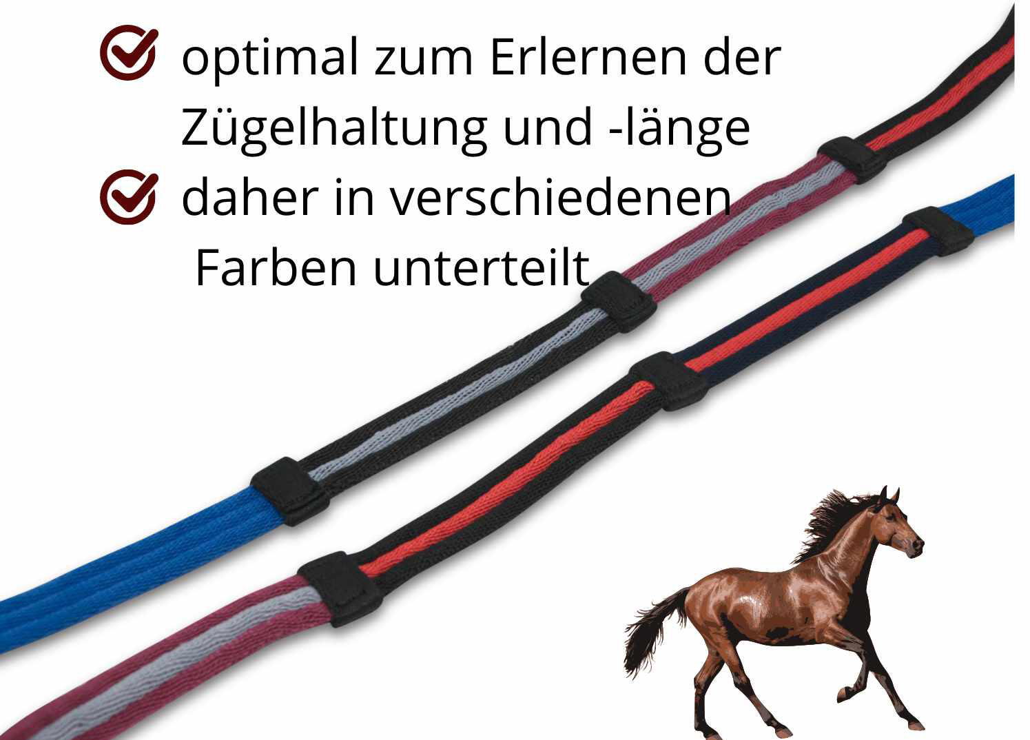 EKKIA Lehrzügel 2/4