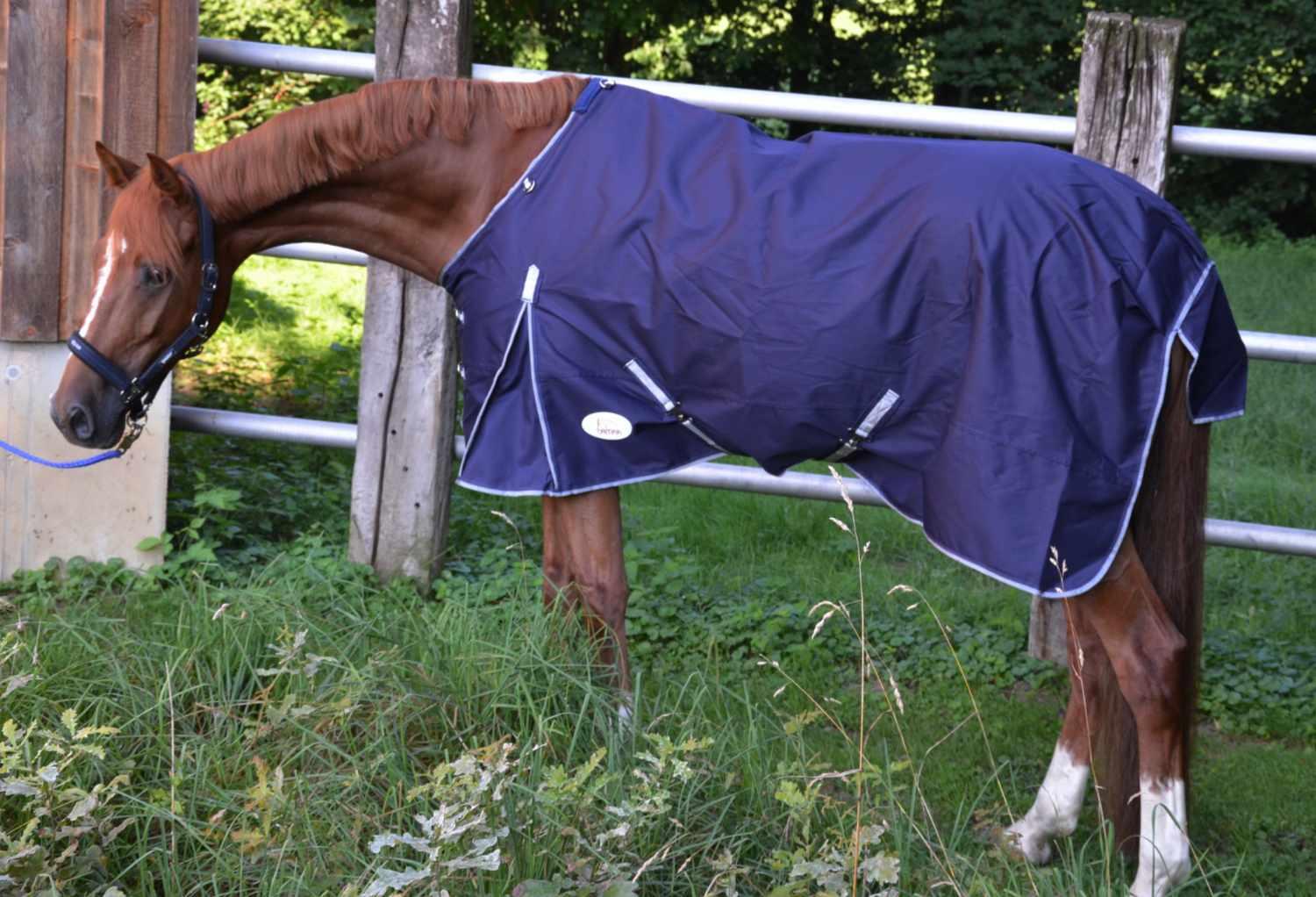 AMKA Pferdedecke  Outdoor 3/4