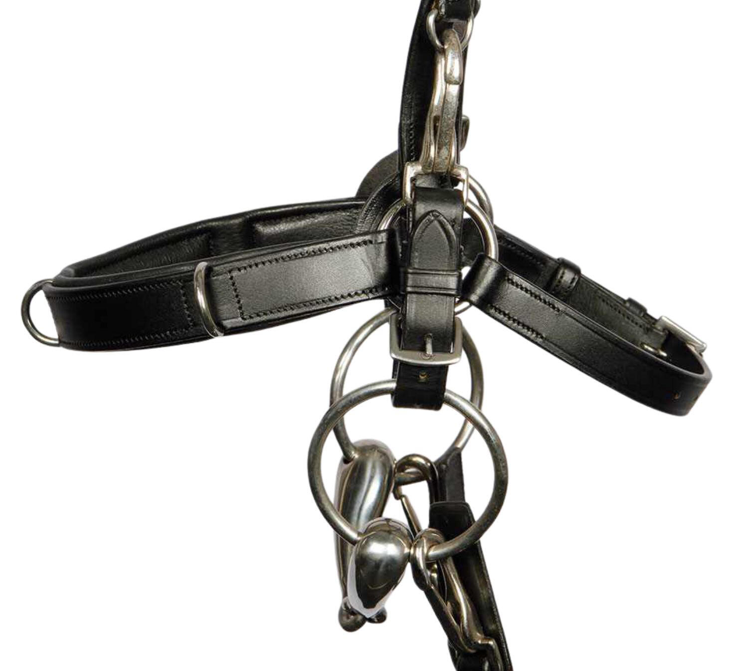 Harry`s Horse Leder Kappzaum 2/4