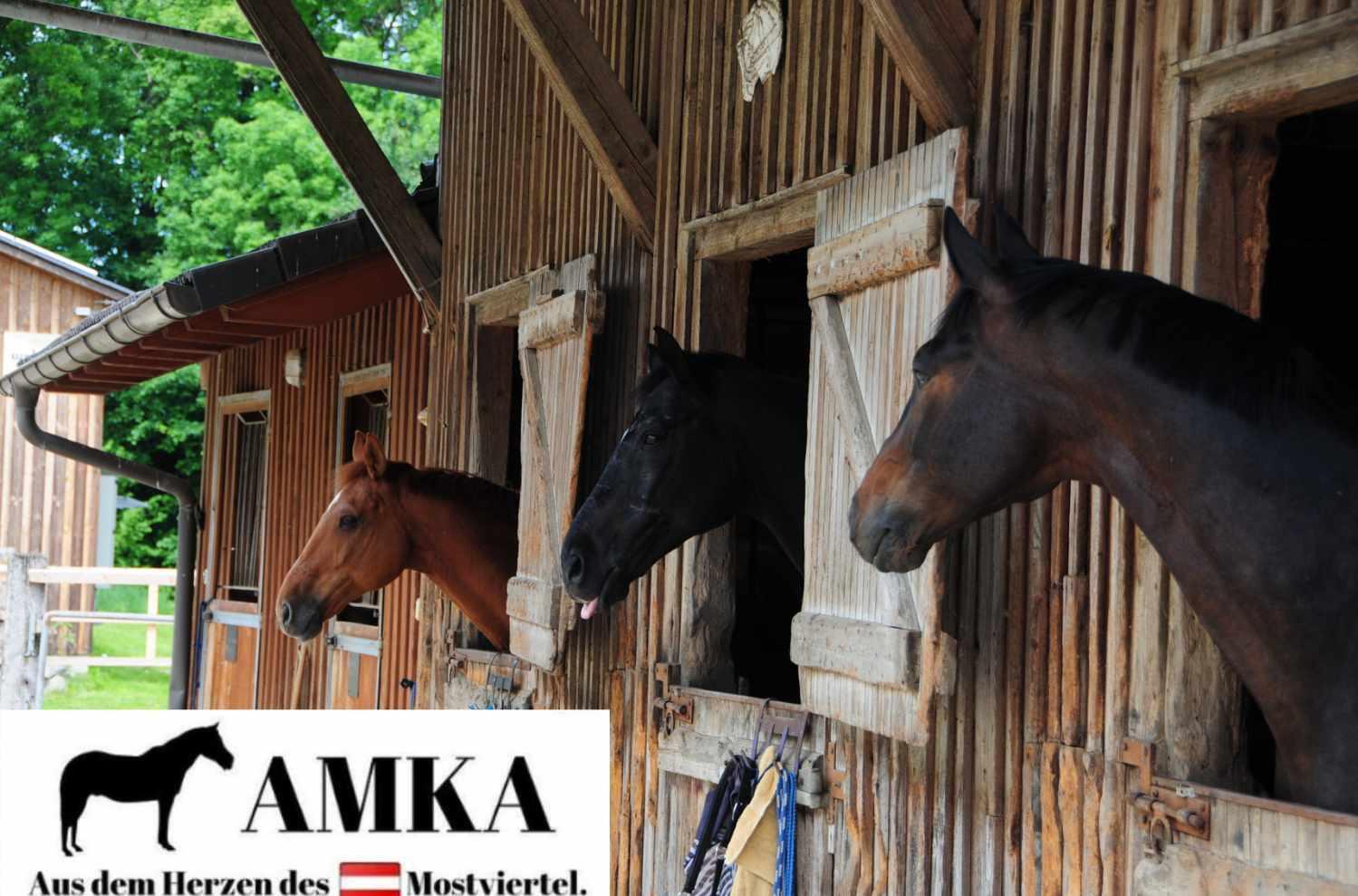 AMKA Sehnenschoner 3/4