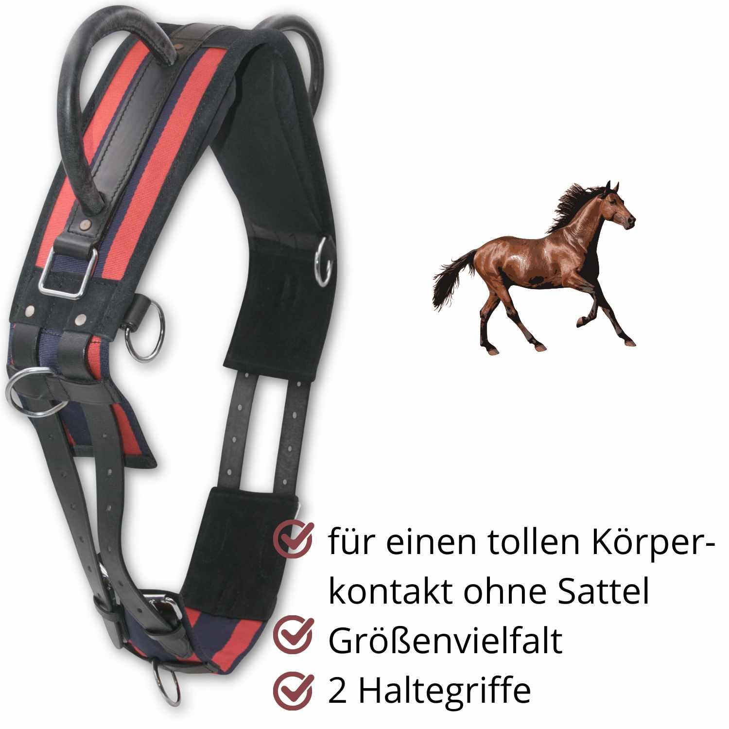 AMKA Longiergurt DOPPIO 2/4