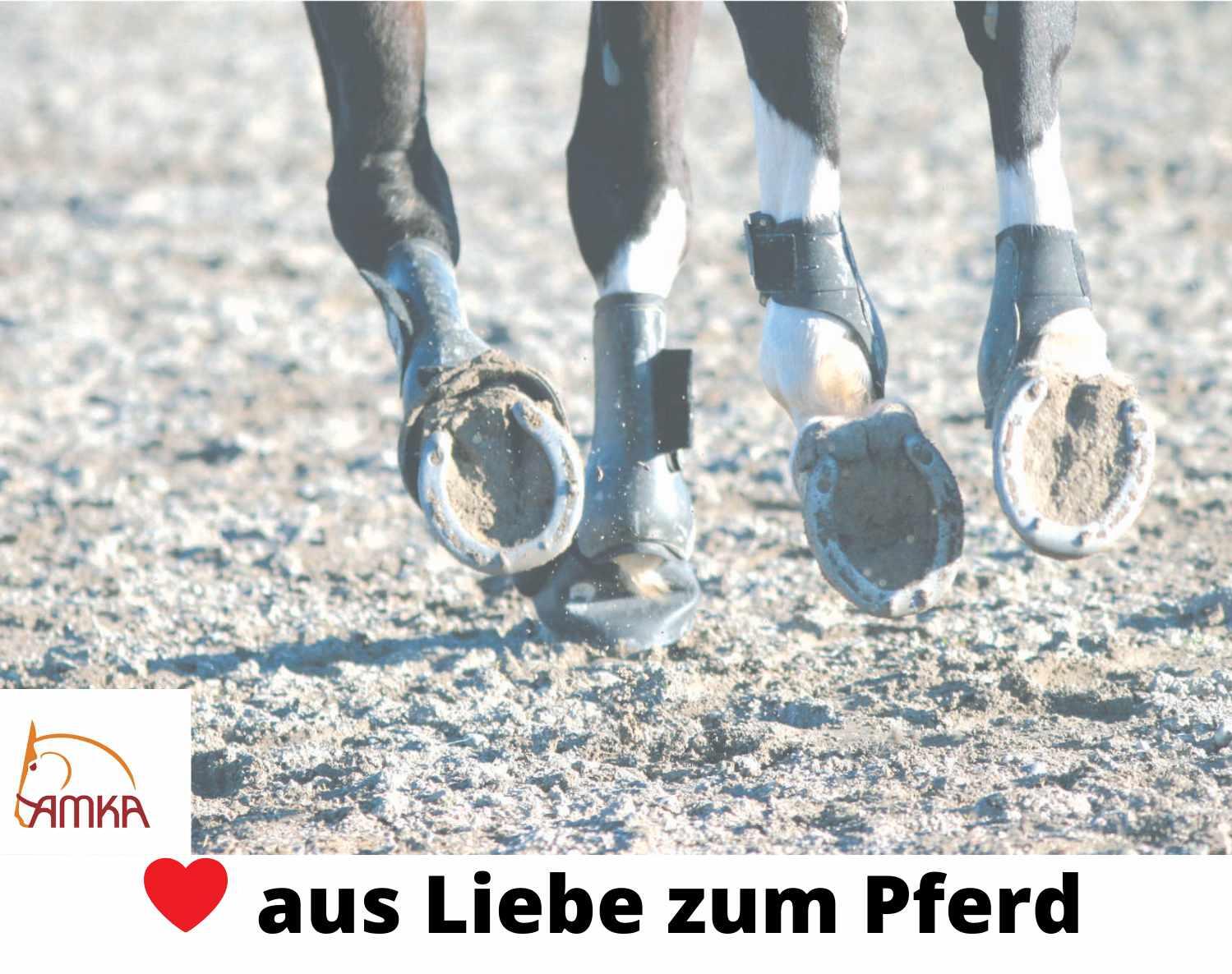 AMKA Sehnenschoner 2/4