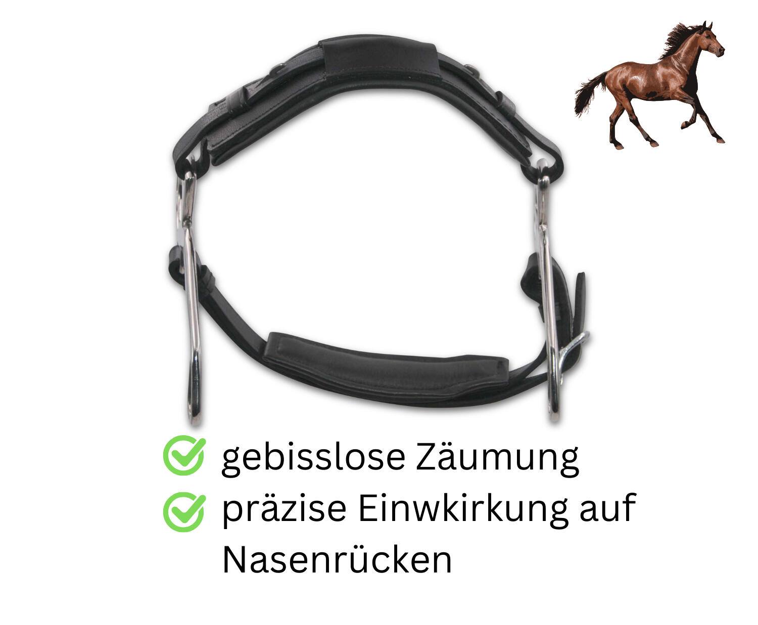 AMKA Hackamore 2/4