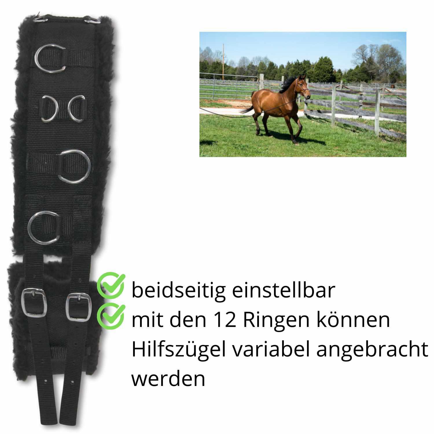 AMKA Longiergurt 2/4