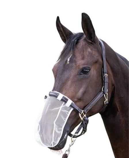 Harry`s Horse Nasenfliegenschutz