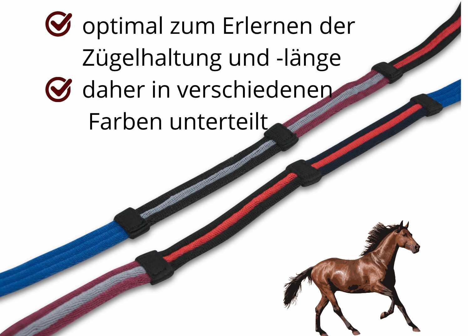 EKKIA Lehrzügel 2/4