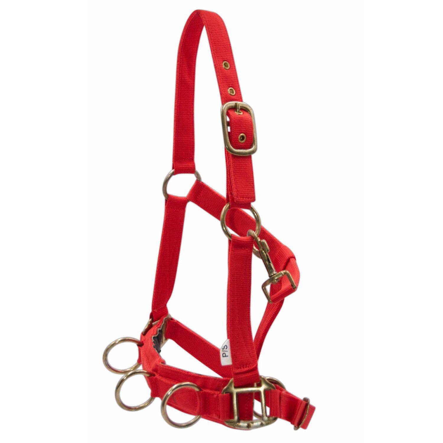 Amesbichler Reitsport EKKIA Kappzaum 1/4