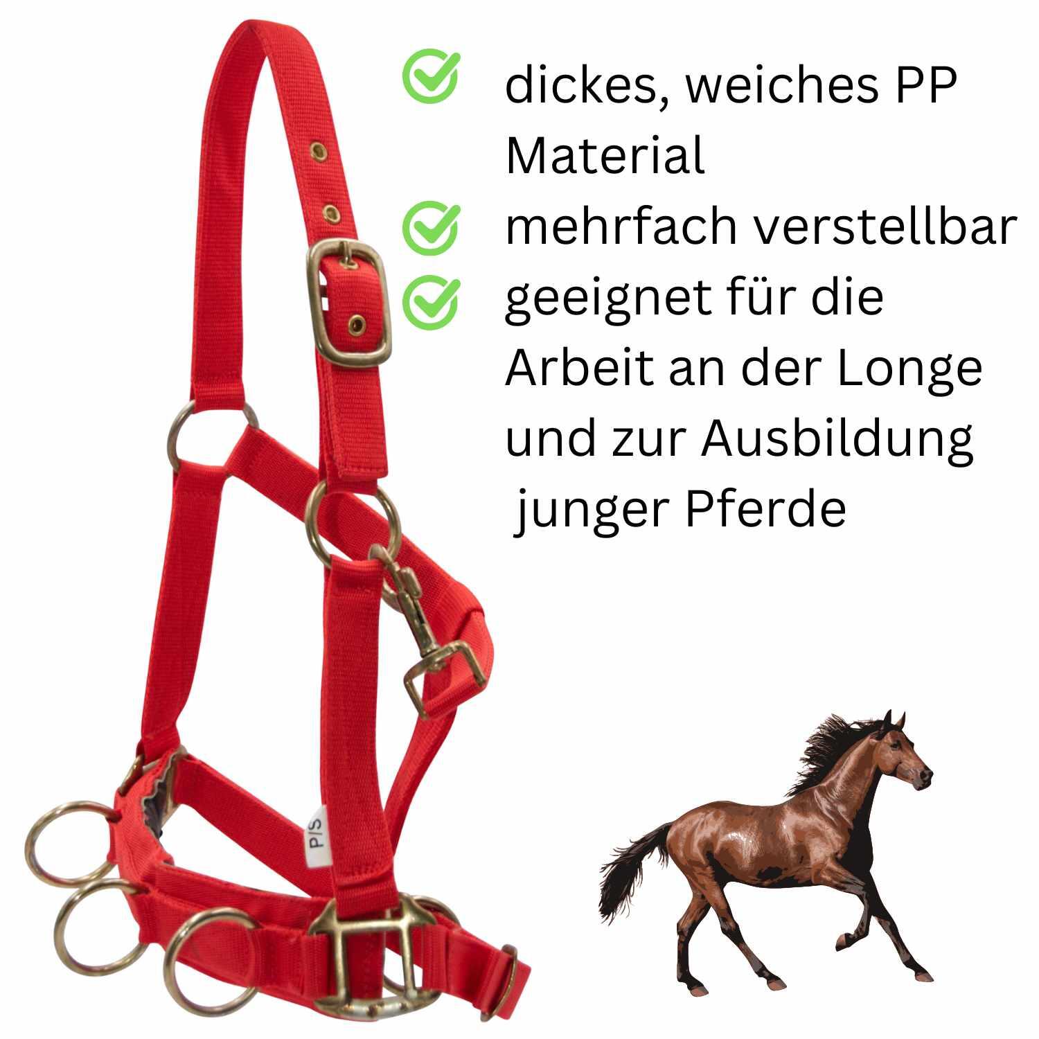 Amesbichler Reitsport EKKIA Kappzaum 2/4