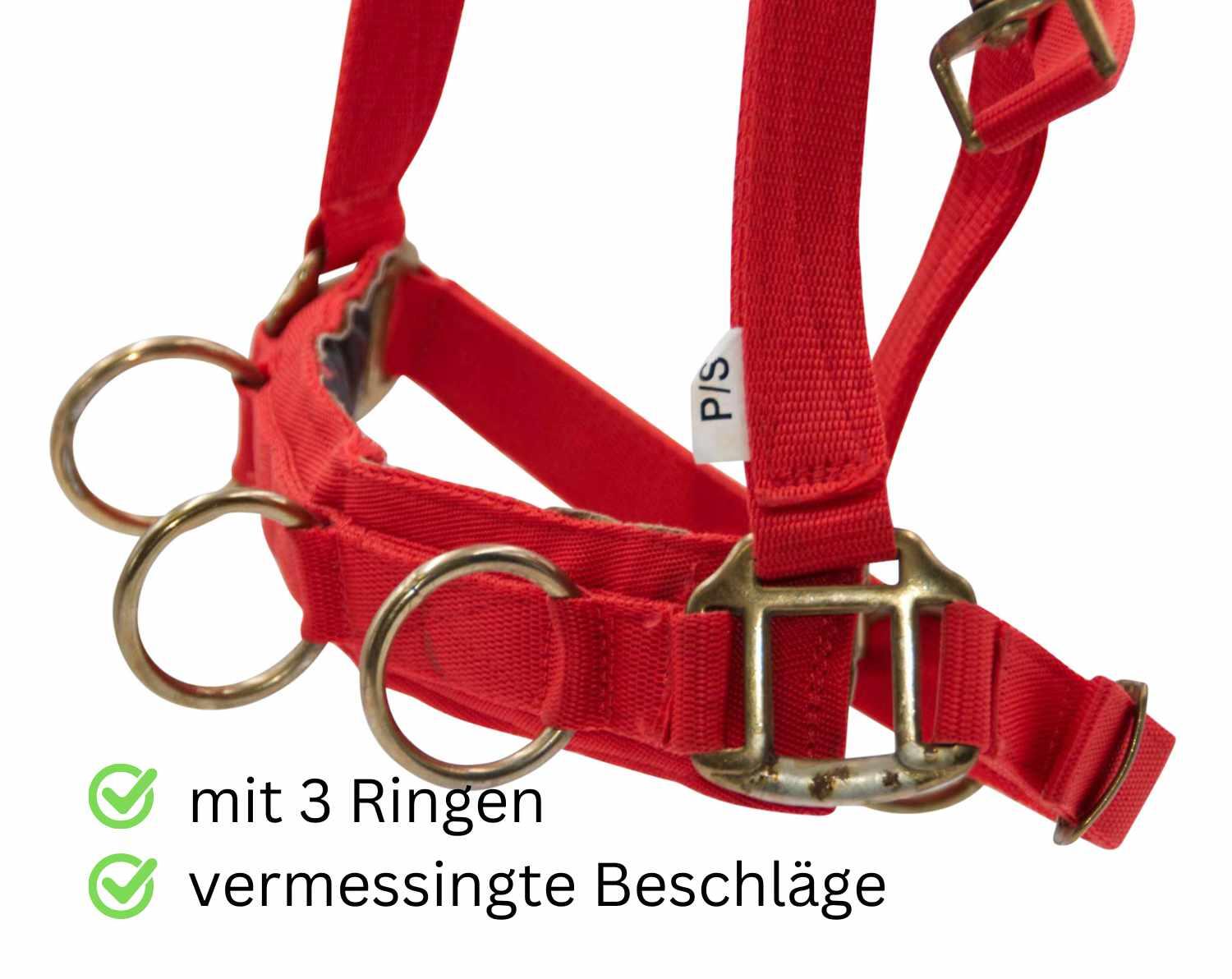 Amesbichler Reitsport EKKIA Kappzaum 3/4