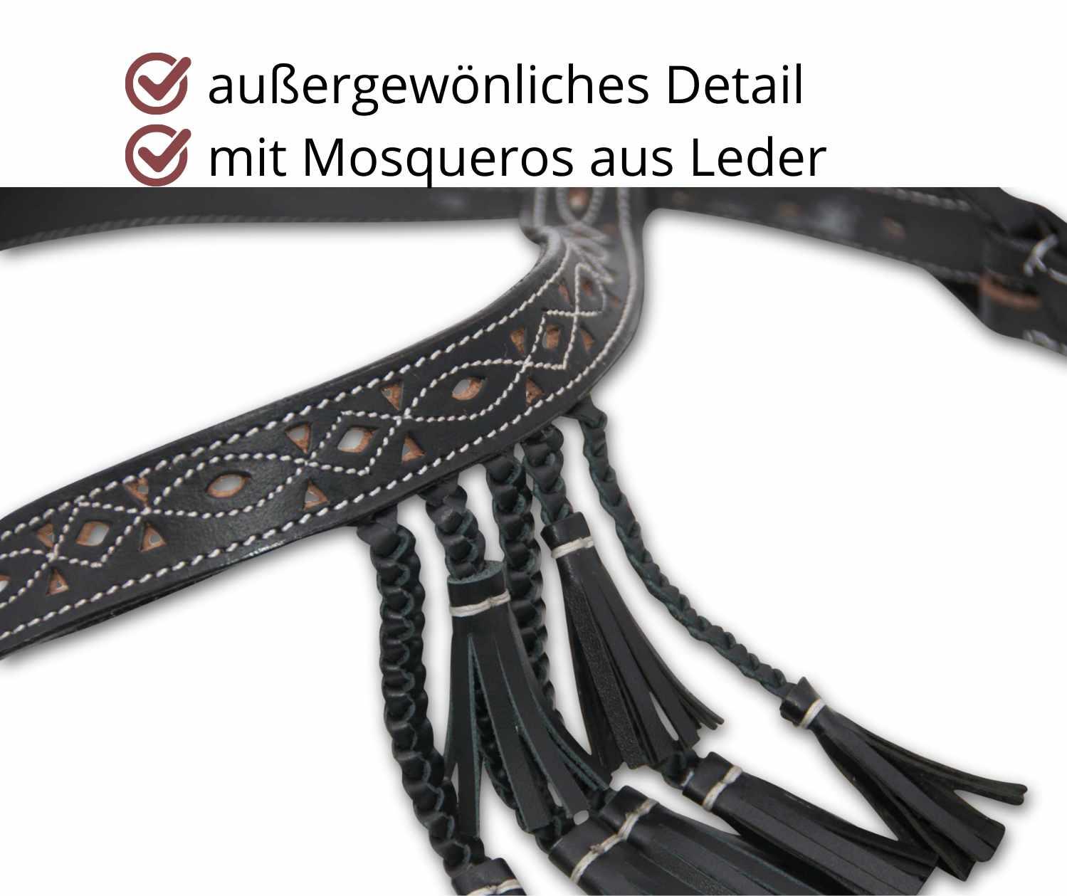 AMKA Spanische Trense 2/4