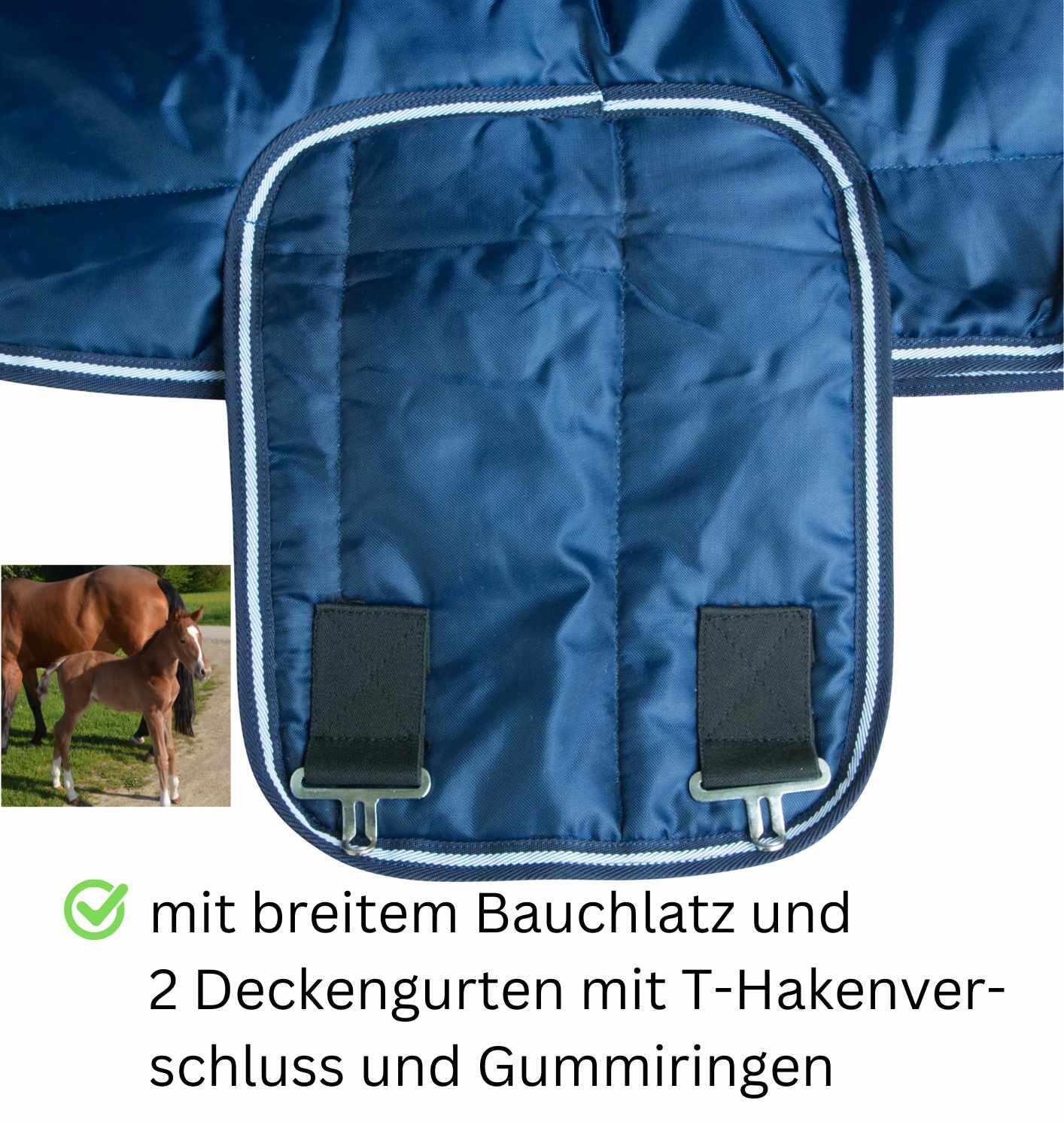 AMKA Fohlendecke LERUM 2/4