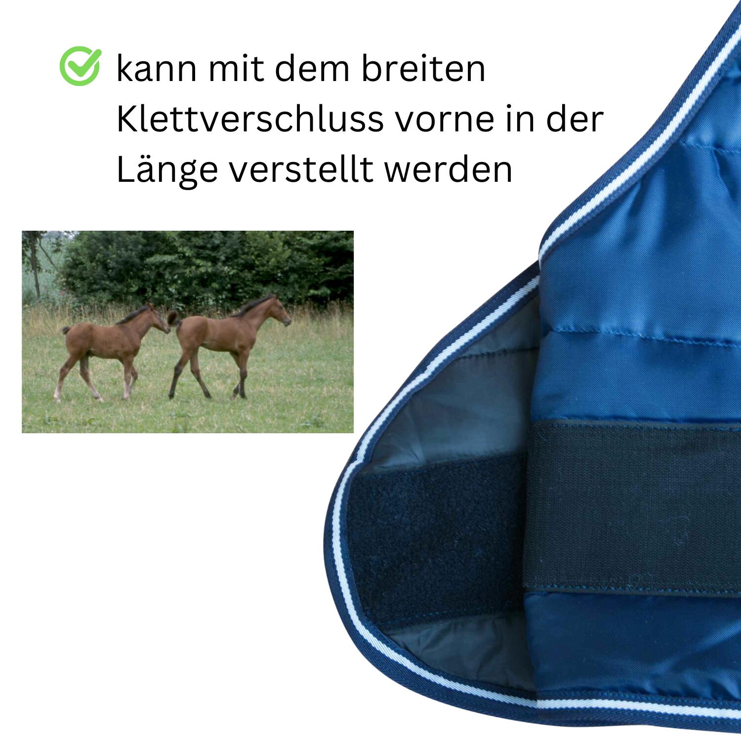 AMKA Fohlendecke LERUM 4/4