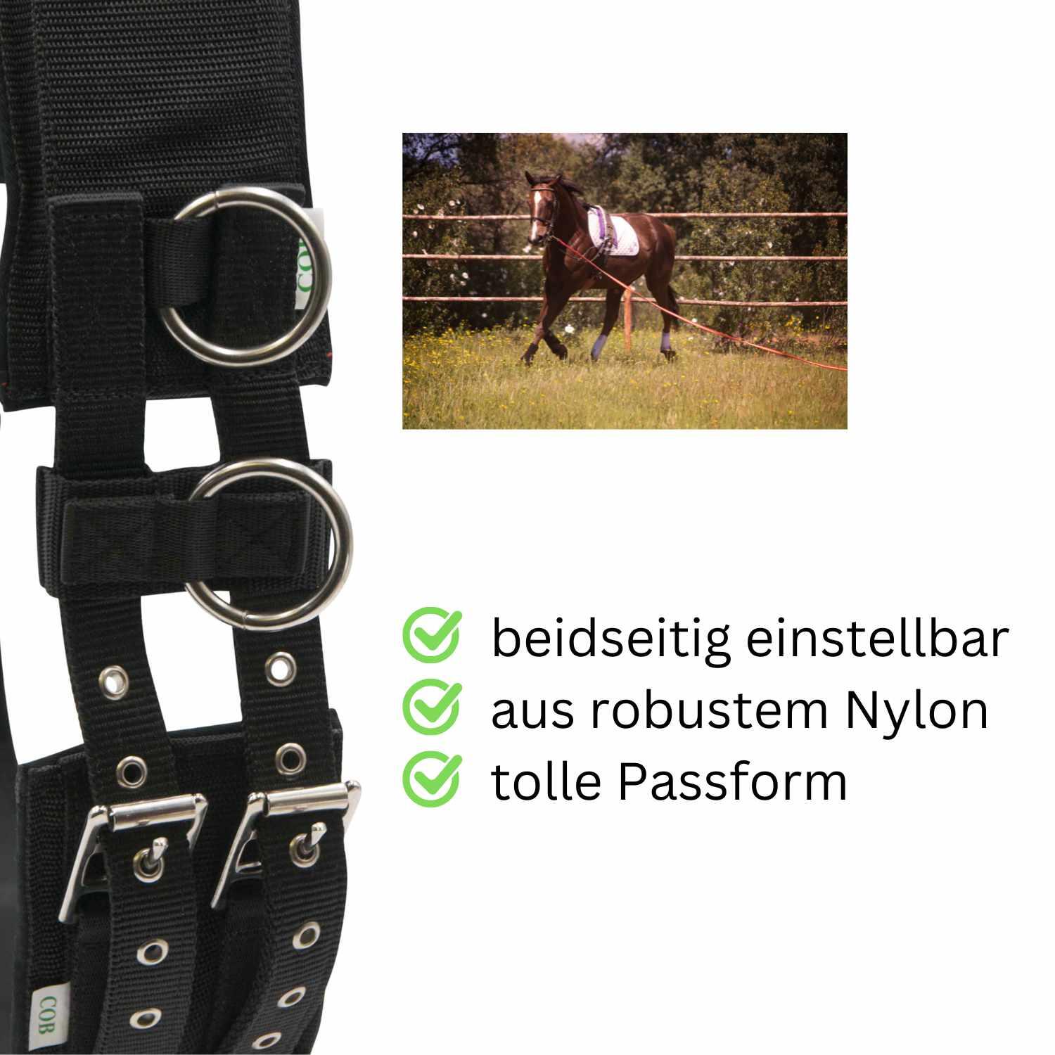 AMKA Longiergurt PRO 2/4