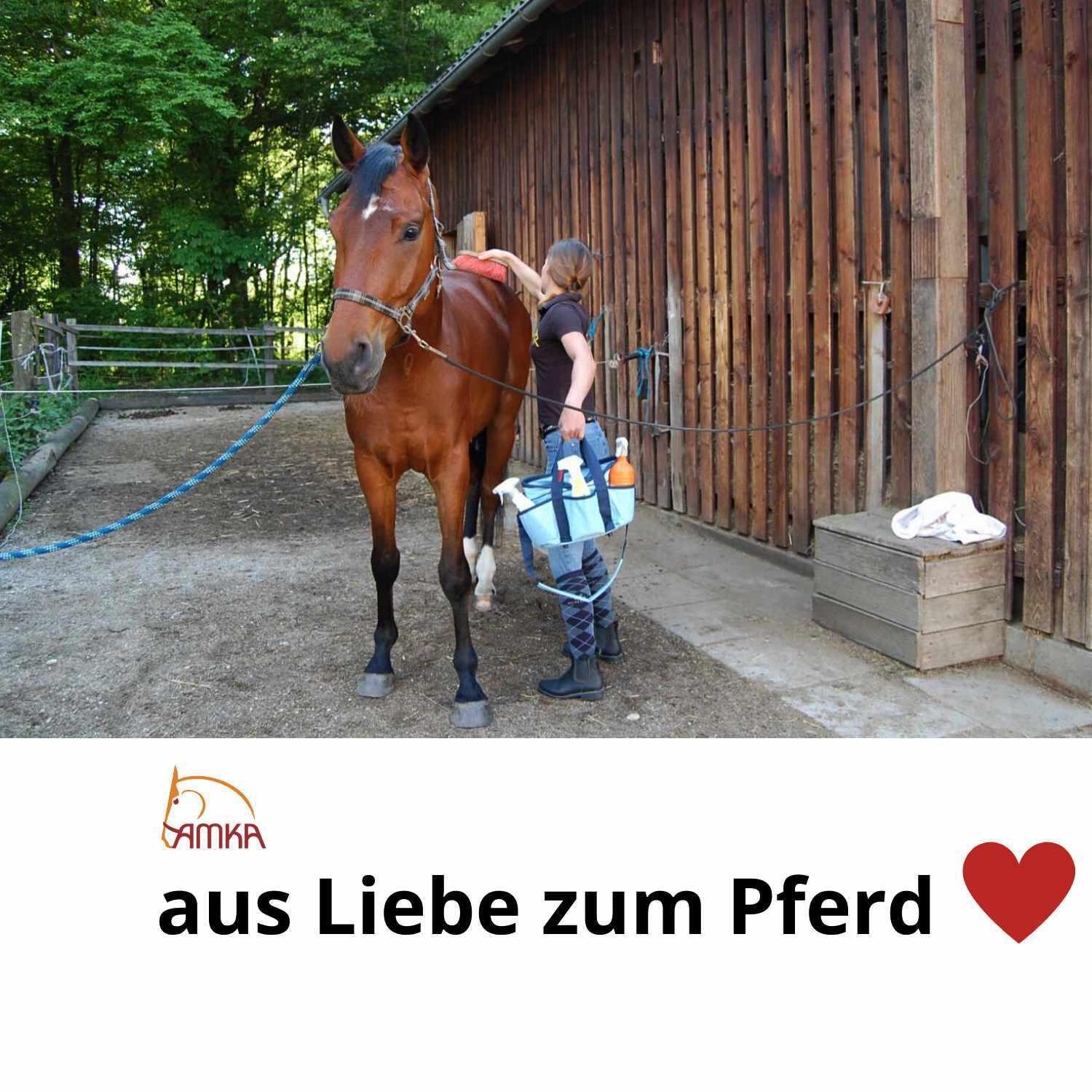Putzset für Pferde 3/4