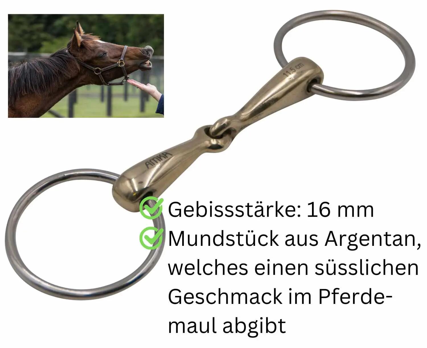 AMKA  Wassertrense 2/4