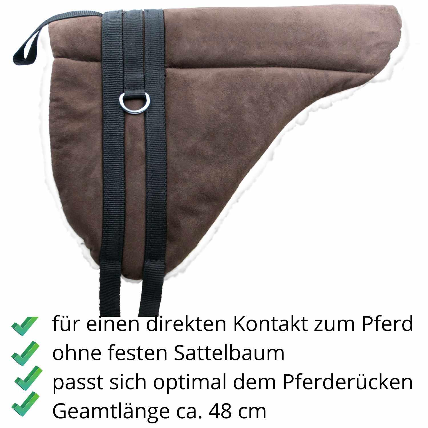 AMKA Shetty Pony Reitkissen 2/4