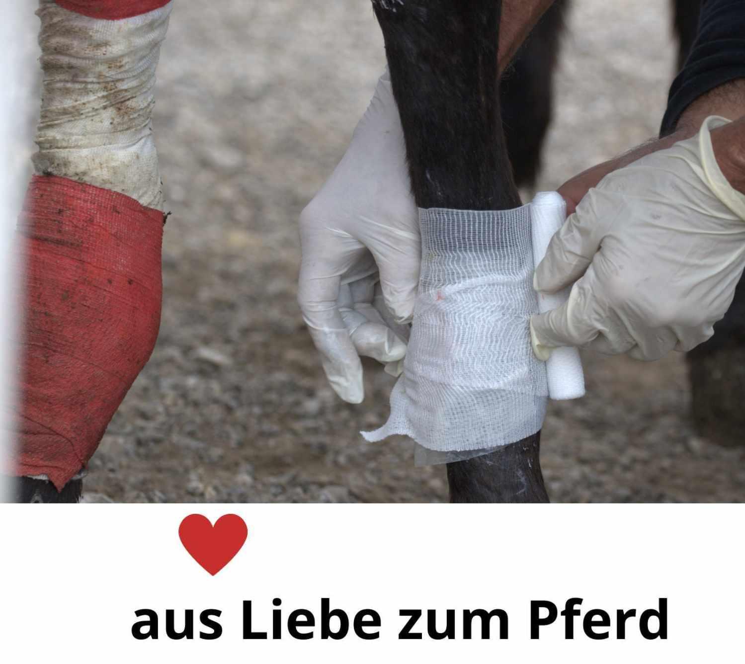 Harrys Horse Sofort Kälte Kompresse 2/3