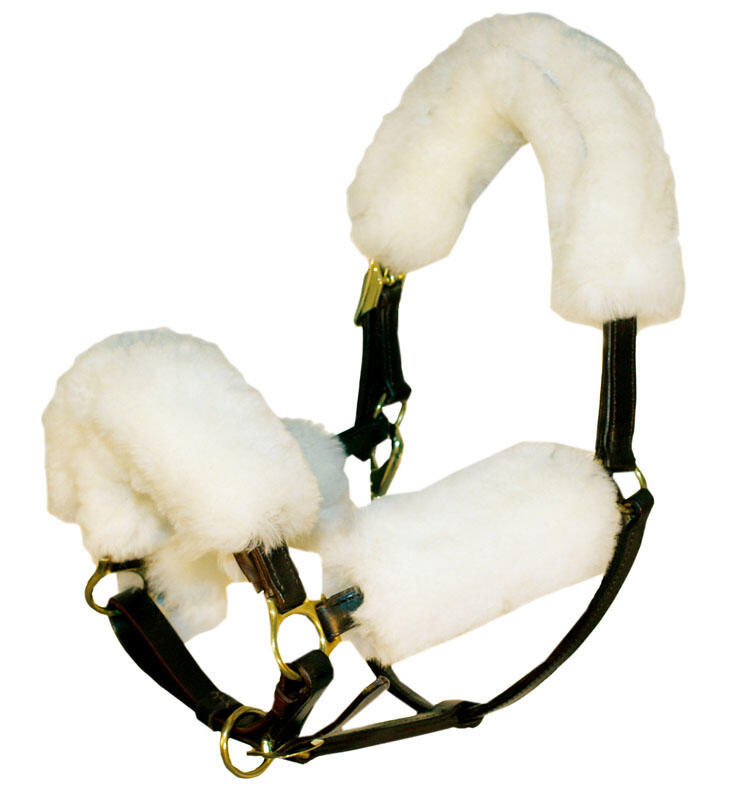 Eldorado Stallhalfter Set 2/4