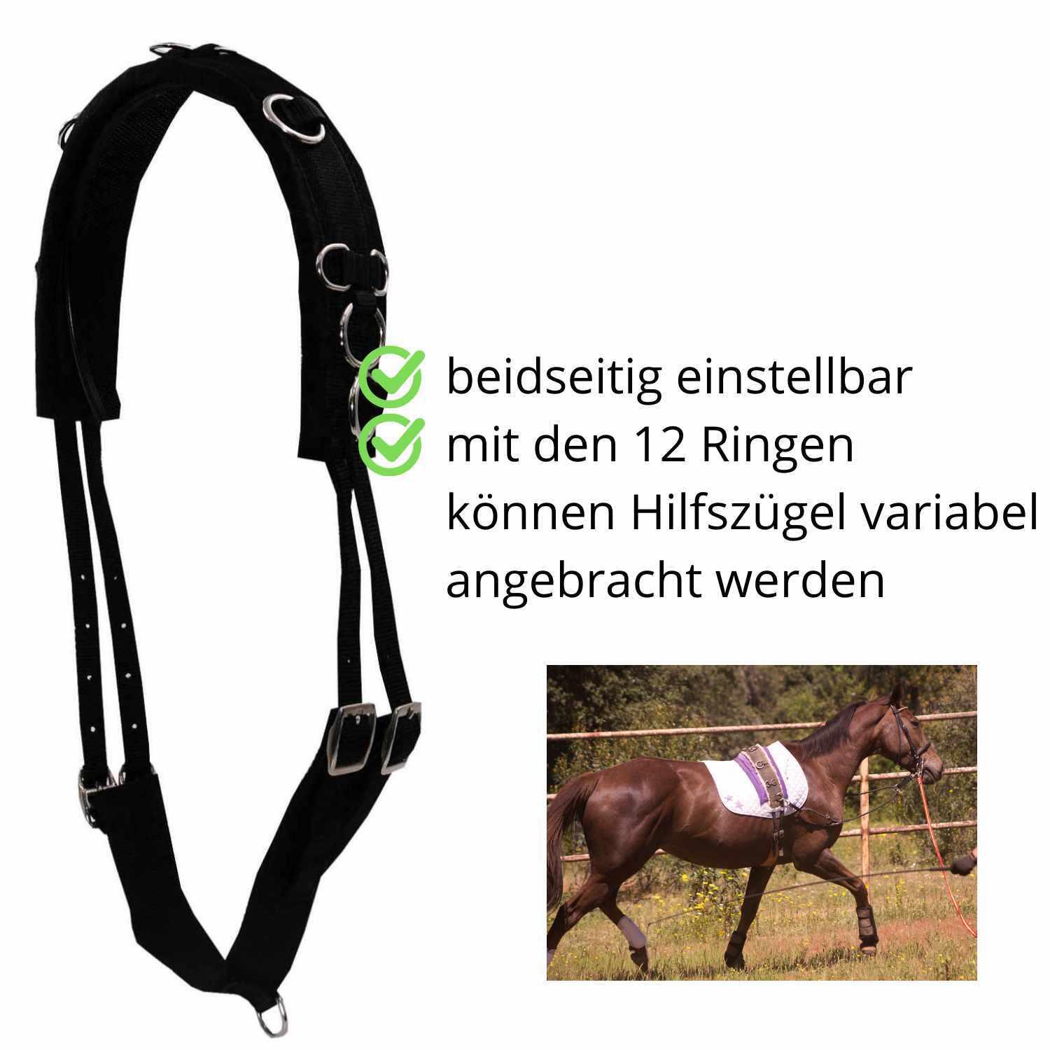 AMKA Longiergurt 2/4