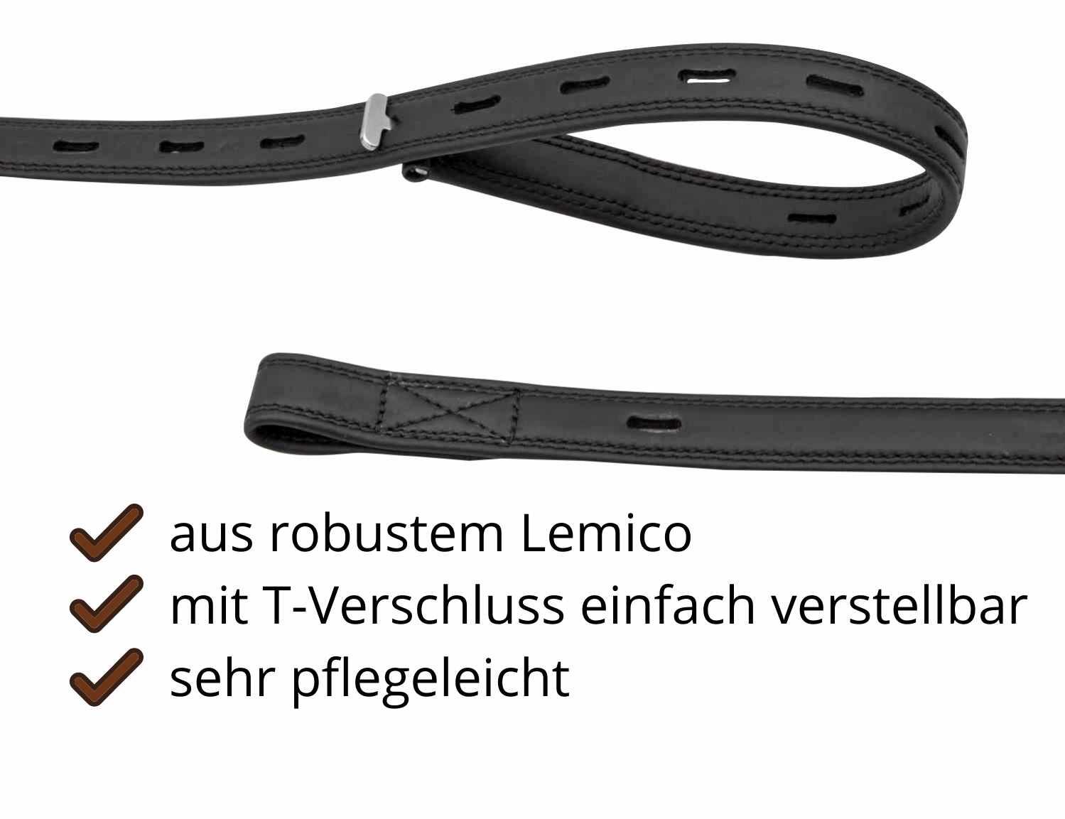 Butterfly Lemico Steigbügelriemen 2/4