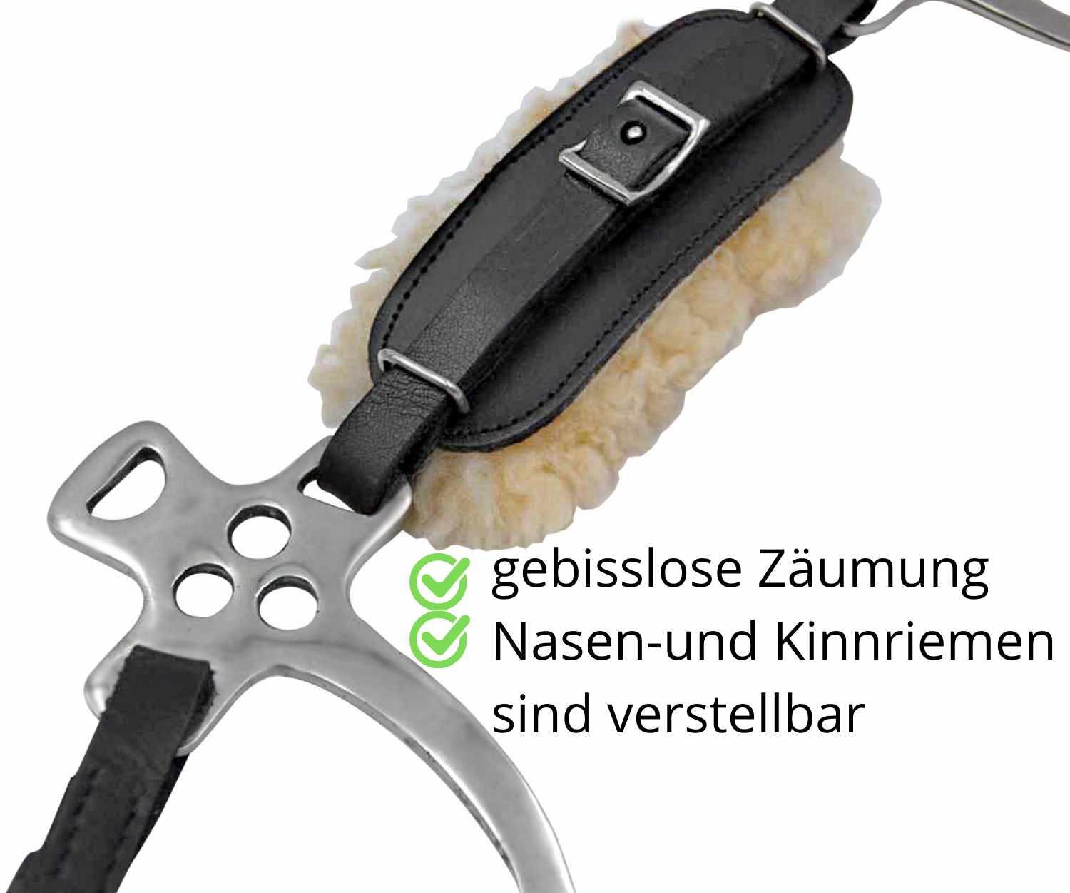AMKA Hackamore 3/4