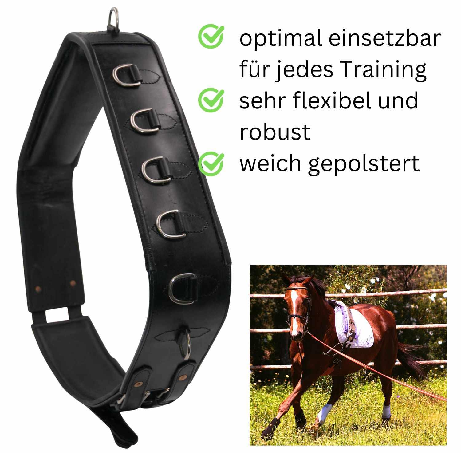 AMKA Pro Longiergurt 2/4