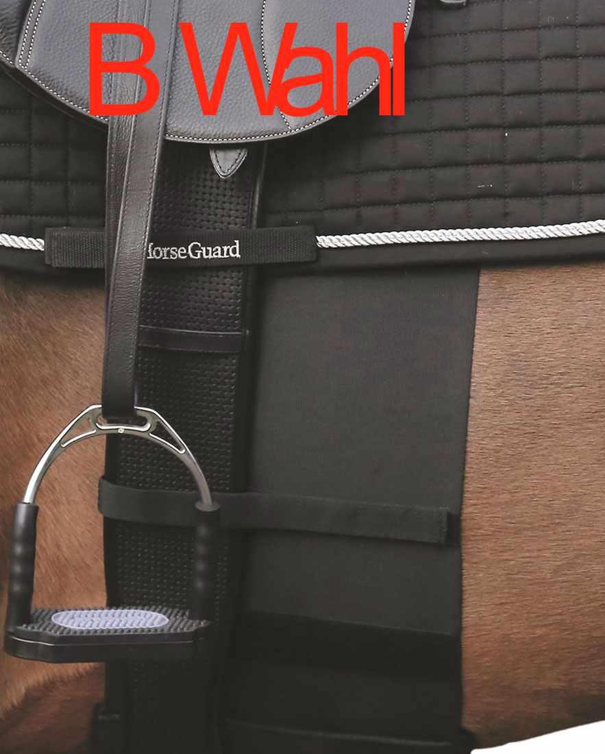 HORSE GUARD picture