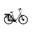 Bicicleta Electrica Stella Livorno Dama FDST RTE 2.1 - 28 Inch, L, Verde