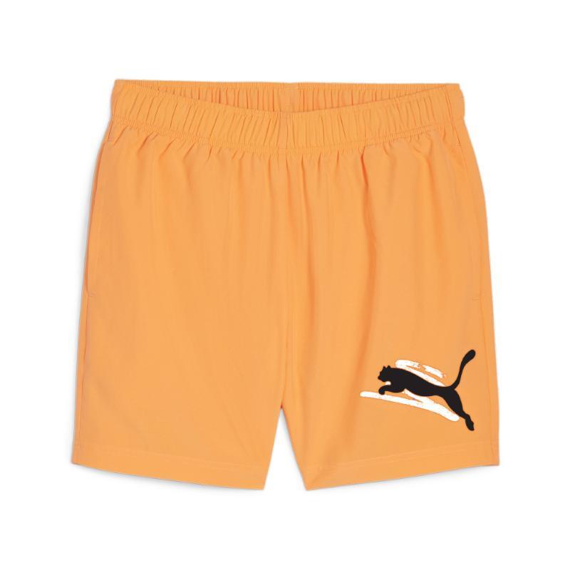 PUMA picture