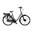 Bicicleta Electrica Stella Livorno Dama FDST RTE 2.1 - 28 Inch, L, Gri