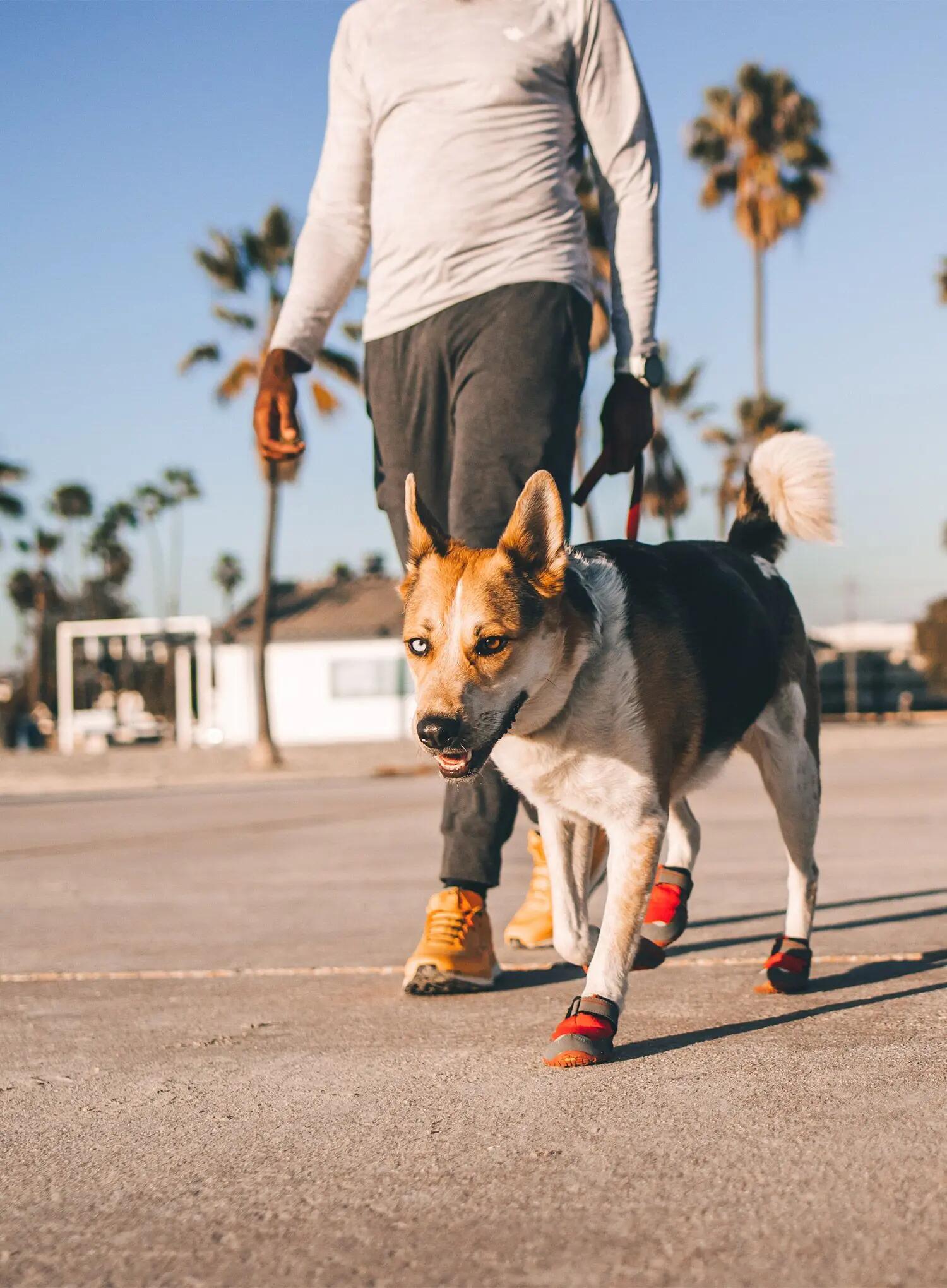 Buty dla psa Ruffwear Grip Trex 6/6